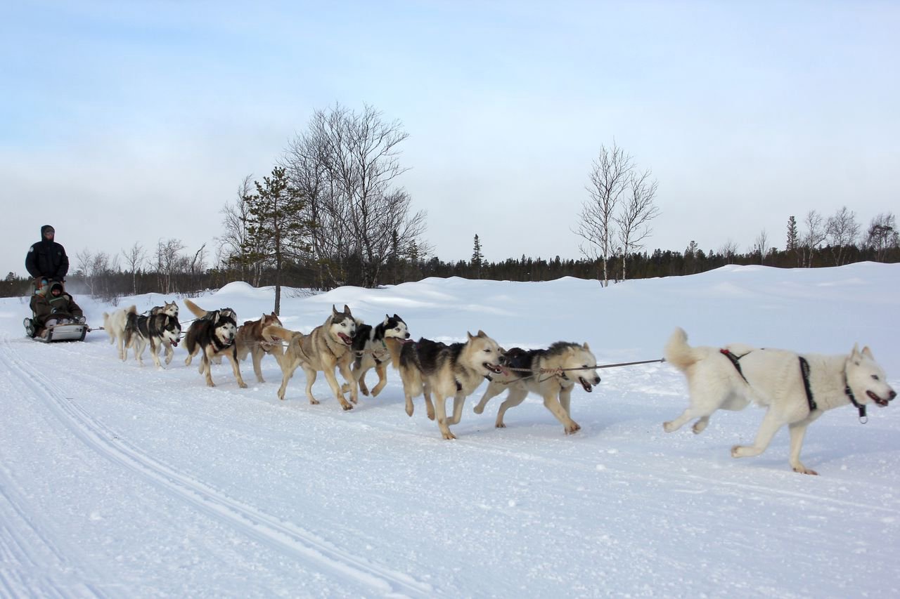 Северные огни Заполярья»