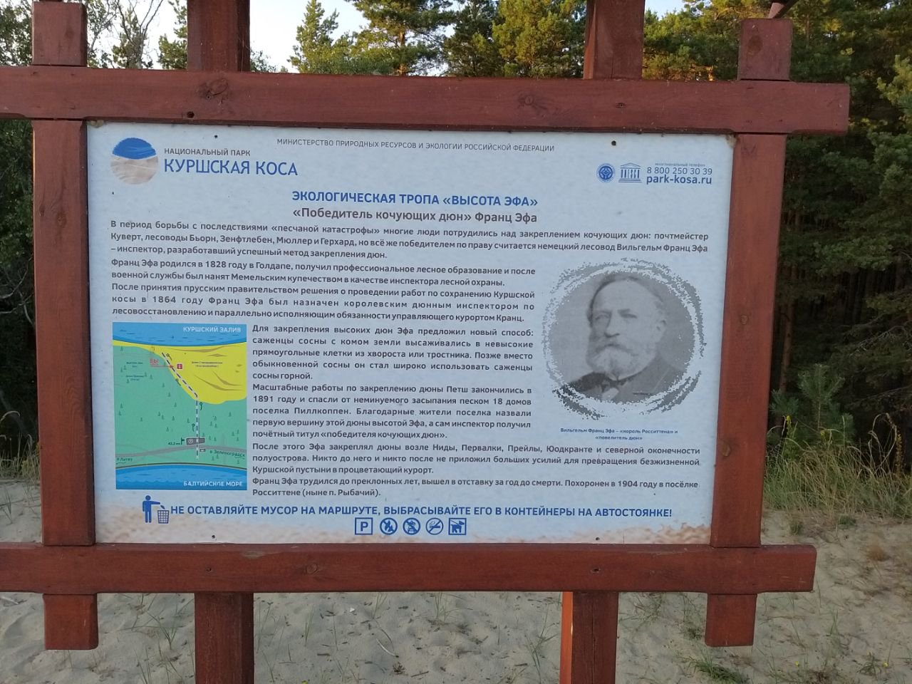 Куршская коса