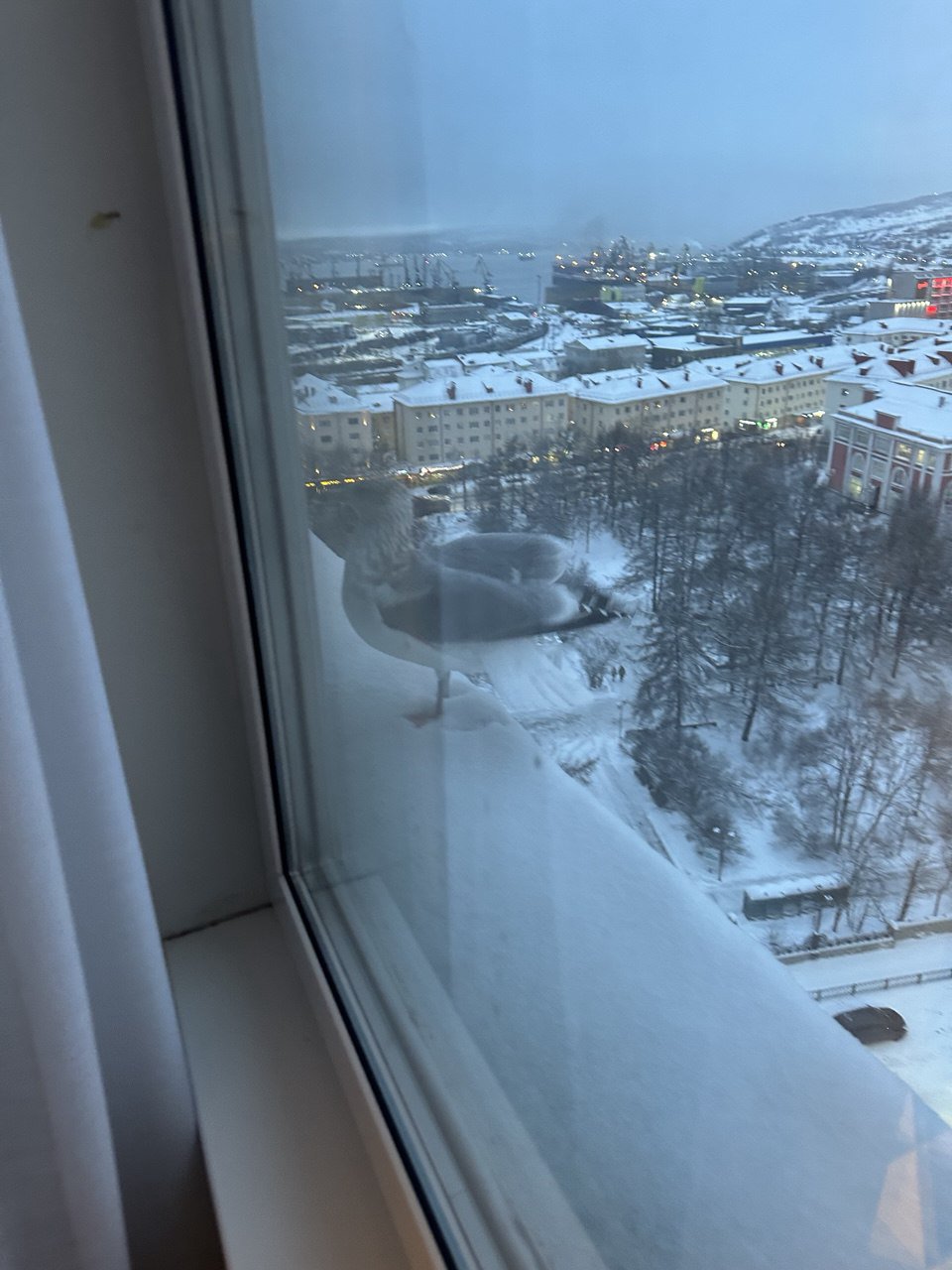 Гостиница Азимут. Мурманск
