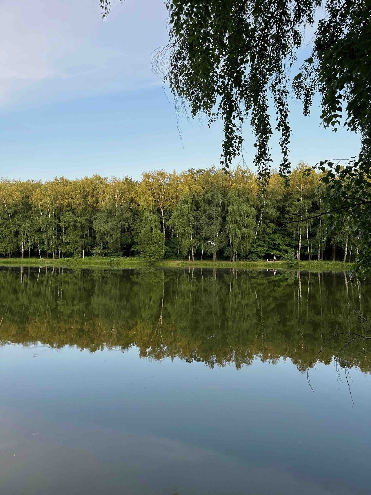 Парки Москвы