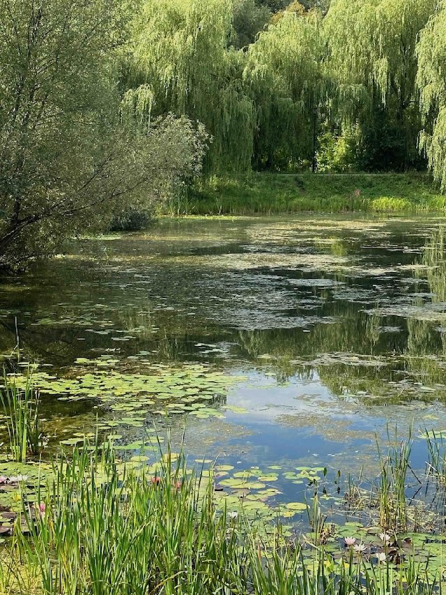 Парки Москвы