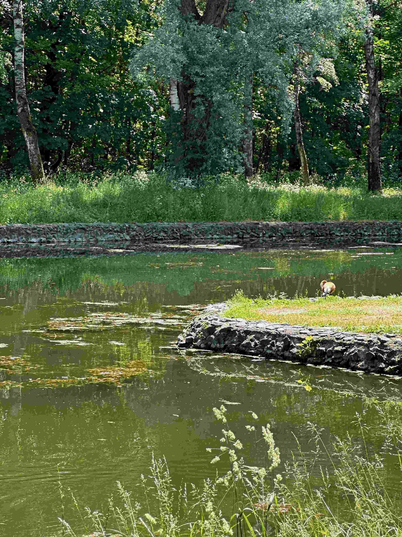 Парки Москвы