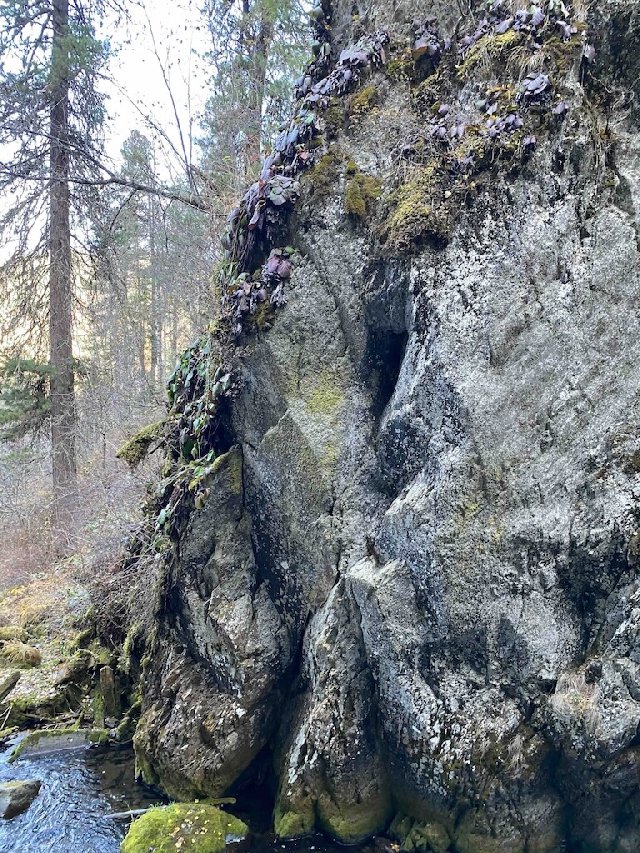 Телецкое озеро на Алтае