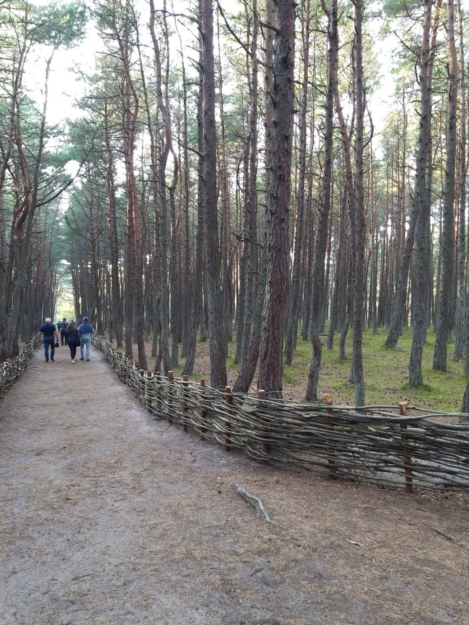 Калининград и Куршская Коса