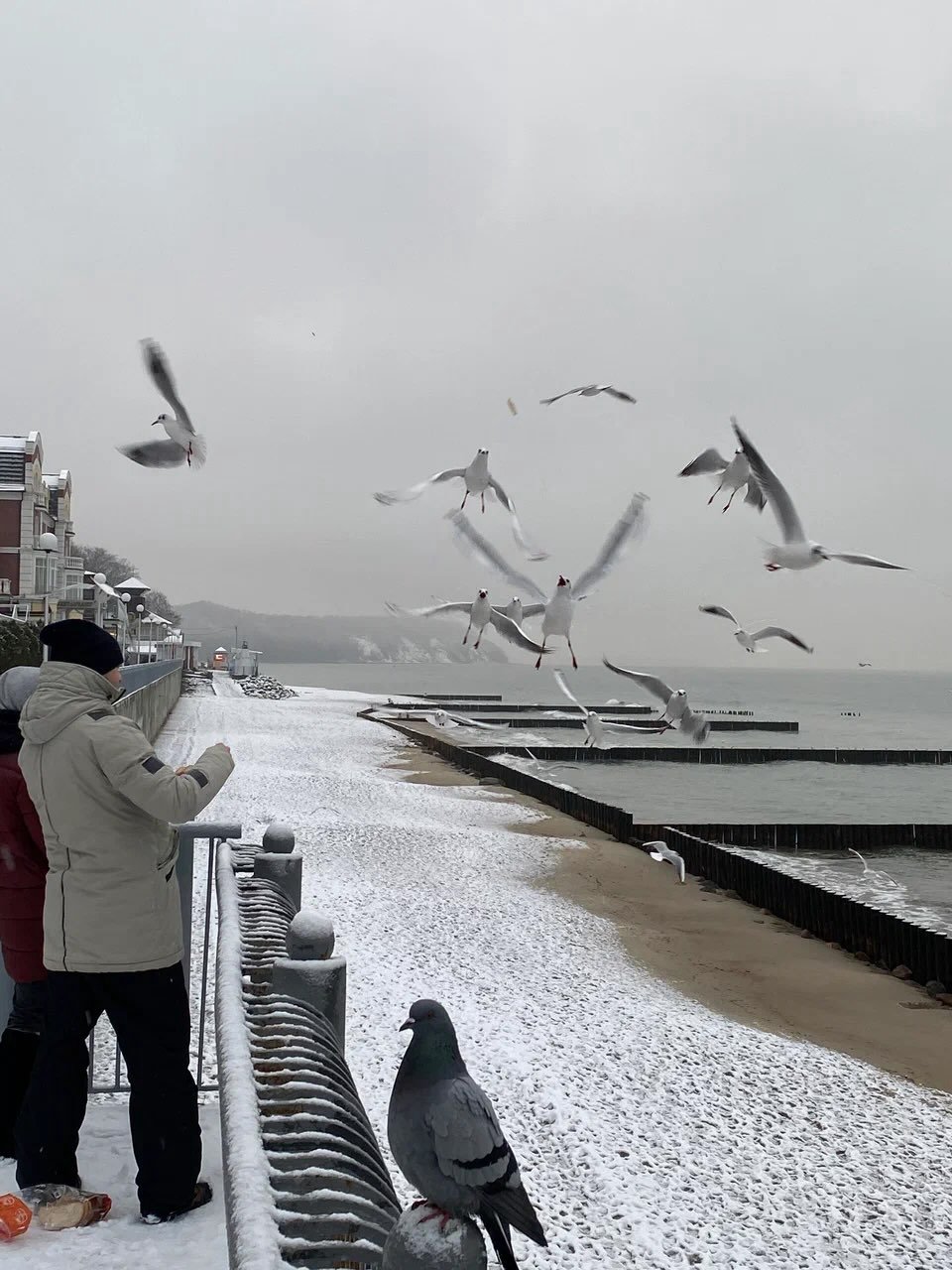 Светлогорск