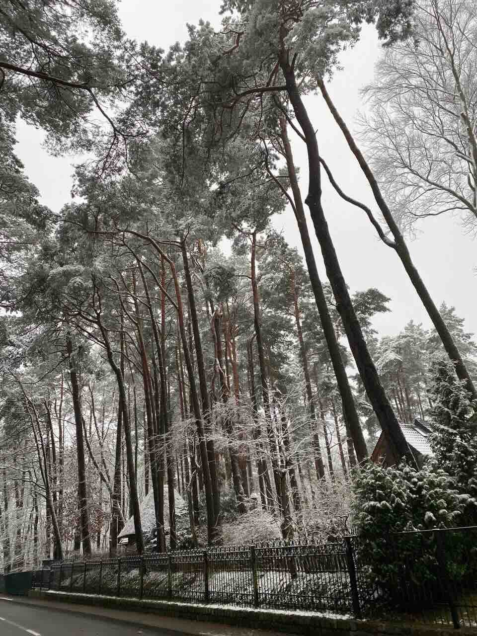 Светлогорск