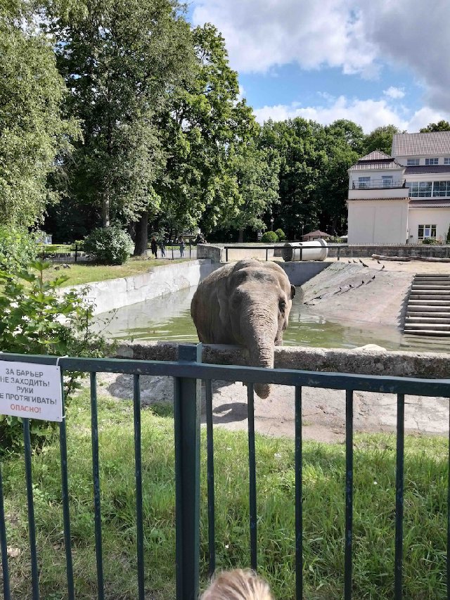 Калининград