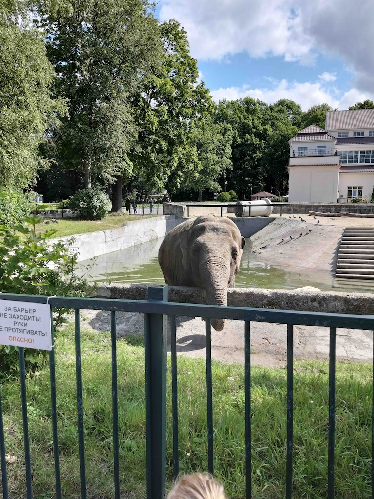 Калининград