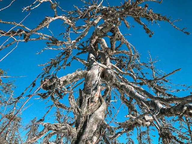 Поездка на Воттоваара (Карелия)